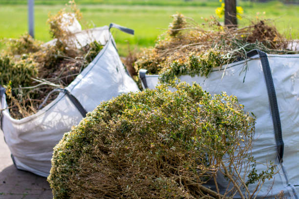 Best Commercial Cleanout Services  in Teays Valley, WV