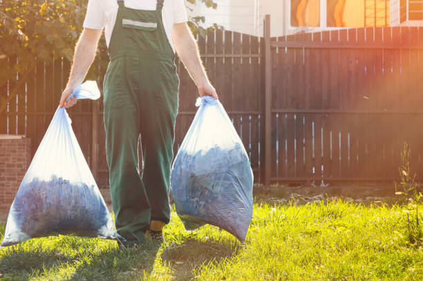 Best Office Junk Removal  in Teays Valley, WV